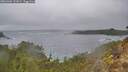 ./images/calvert/foggy-cove/20260304/foggy-cove20260304_122002M.jpg
