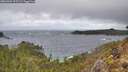 ./images/calvert/foggy-cove/20260304/foggy-cove20260304_123501M.jpg