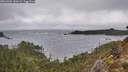 ./images/calvert/foggy-cove/20260304/foggy-cove20260304_130501M.jpg