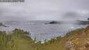 ./images/calvert/foggy-cove/20260304/foggy-cove20260304_135001M.jpg