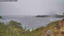 ./images/calvert/foggy-cove/20260304/foggy-cove20260304_142001M.jpg