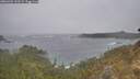 ./images/calvert/foggy-cove/20260304/foggy-cove20260304_142501M.jpg