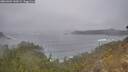 ./images/calvert/foggy-cove/20260304/foggy-cove20260304_143001M.jpg