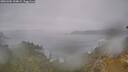 ./images/calvert/foggy-cove/20260304/foggy-cove20260304_144002M.jpg