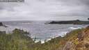./images/calvert/foggy-cove/20260304/foggy-cove20260304_151501M.jpg