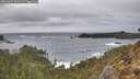 ./images/calvert/foggy-cove/20260304/foggy-cove20260304_161501M.jpg