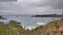 ./images/calvert/foggy-cove/20260305/foggy-cove20260305_073002M.jpg