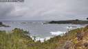 ./images/calvert/foggy-cove/20260305/foggy-cove20260305_084501M.jpg