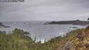 ./images/calvert/foggy-cove/20260305/foggy-cove20260305_092501M.jpg