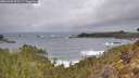 ./images/calvert/foggy-cove/20260305/foggy-cove20260305_093501M.jpg