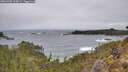 ./images/calvert/foggy-cove/20260305/foggy-cove20260305_104501M.jpg