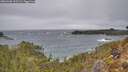 ./images/calvert/foggy-cove/20260305/foggy-cove20260305_112501M.jpg