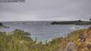 ./images/calvert/foggy-cove/20260305/foggy-cove20260305_113001M.jpg