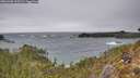 ./images/calvert/foggy-cove/20260305/foggy-cove20260305_113501M.jpg