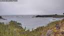 ./images/calvert/foggy-cove/20260305/foggy-cove20260305_115001M.jpg