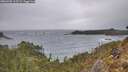 ./images/calvert/foggy-cove/20260305/foggy-cove20260305_115501M.jpg
