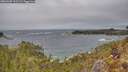 ./images/calvert/foggy-cove/20260305/foggy-cove20260305_123501M.jpg