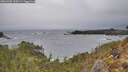 ./images/calvert/foggy-cove/20260305/foggy-cove20260305_143001M.jpg