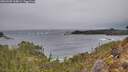 ./images/calvert/foggy-cove/20260305/foggy-cove20260305_144001M.jpg