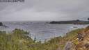 ./images/calvert/foggy-cove/20260305/foggy-cove20260305_150001M.jpg