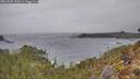 ./images/calvert/foggy-cove/20260305/foggy-cove20260305_150501M.jpg