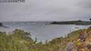 ./images/calvert/foggy-cove/20260305/foggy-cove20260305_152502M.jpg