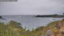./images/calvert/foggy-cove/20260305/foggy-cove20260305_153001M.jpg