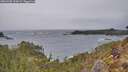 ./images/calvert/foggy-cove/20260305/foggy-cove20260305_154502M.jpg