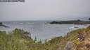 ./images/calvert/foggy-cove/20260305/foggy-cove20260305_160002M.jpg