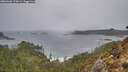 ./images/calvert/foggy-cove/20260306/foggy-cove20260306_073001M.jpg