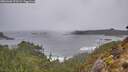 ./images/calvert/foggy-cove/20260306/foggy-cove20260306_073501M.jpg