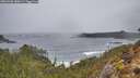./images/calvert/foggy-cove/20260306/foggy-cove20260306_080002M.jpg