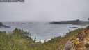 ./images/calvert/foggy-cove/20260306/foggy-cove20260306_080501M.jpg