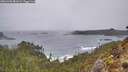 ./images/calvert/foggy-cove/20260306/foggy-cove20260306_081002M.jpg