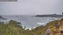 ./images/calvert/foggy-cove/20260306/foggy-cove20260306_081501M.jpg
