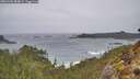 ./images/calvert/foggy-cove/20260306/foggy-cove20260306_084001M.jpg