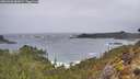 ./images/calvert/foggy-cove/20260306/foggy-cove20260306_085001M.jpg