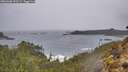 ./images/calvert/foggy-cove/20260306/foggy-cove20260306_090501M.jpg