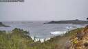 ./images/calvert/foggy-cove/20260306/foggy-cove20260306_091501M.jpg