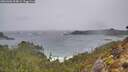 ./images/calvert/foggy-cove/20260306/foggy-cove20260306_094001M.jpg