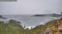 ./images/calvert/foggy-cove/20260306/foggy-cove20260306_094502M.jpg