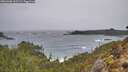 ./images/calvert/foggy-cove/20260306/foggy-cove20260306_102501M.jpg
