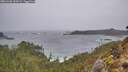 ./images/calvert/foggy-cove/20260306/foggy-cove20260306_103502M.jpg