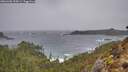 ./images/calvert/foggy-cove/20260306/foggy-cove20260306_105001M.jpg
