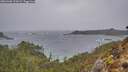 ./images/calvert/foggy-cove/20260306/foggy-cove20260306_112002M.jpg