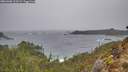 ./images/calvert/foggy-cove/20260306/foggy-cove20260306_113501M.jpg