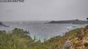 ./images/calvert/foggy-cove/20260306/foggy-cove20260306_114001M.jpg