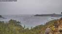 ./images/calvert/foggy-cove/20260306/foggy-cove20260306_123501M.jpg