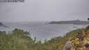 ./images/calvert/foggy-cove/20260306/foggy-cove20260306_131001M.jpg