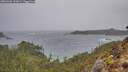 ./images/calvert/foggy-cove/20260306/foggy-cove20260306_132001M.jpg